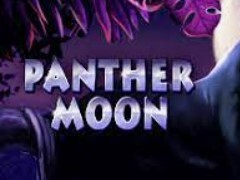 Игровой автомат Panther Moon (Лунная Пантера) играть бесплатно онлайн в казино Вулкан Платинум